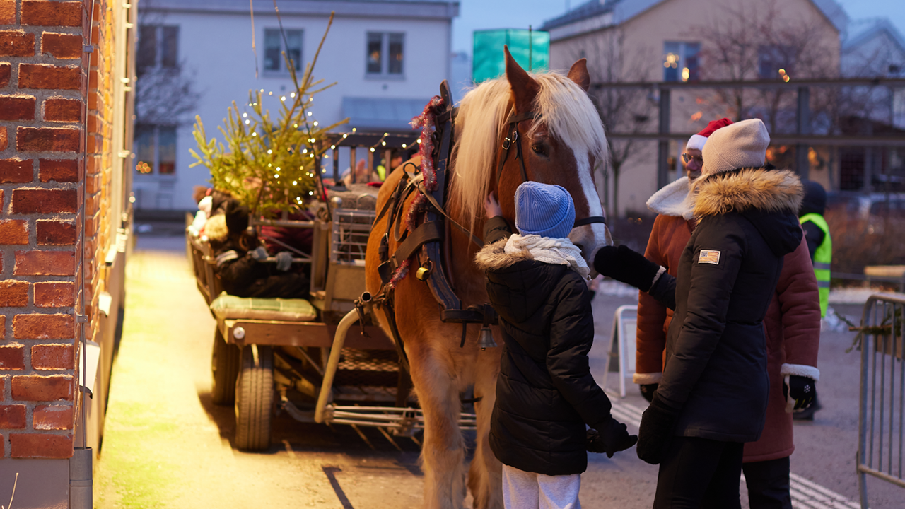 Illsutrationsbild för Jul i Nyköping